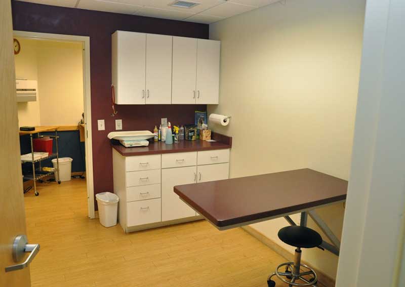 to Orchard Veterinary Hospital